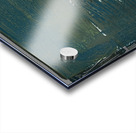 Deep in the Pine Forest Acrylic print