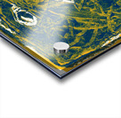 Ready to Jump Acrylic print