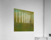 In the Blink of an Eye   Acrylic Print