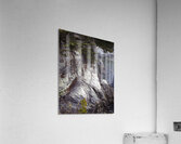 Cliff and Sea  Acrylic Print