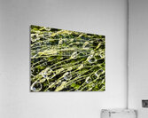 Essence Acrylic Print