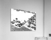 Abstract Fields Acrylic Print