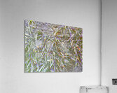 Many Grasses  Acrylic Print