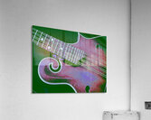 Mandolin  Acrylic Print