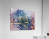 Abalone Shells at China Camp Acrylic Print