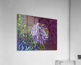 Grasses in layers Acrylic Print