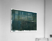 Deep in the Pine Forest Acrylic Print