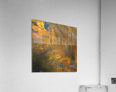 Cosmic Explorer 2 Acrylic Print