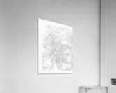 Dreamscapes - Silverpoint - Living in Trees Acrylic Print