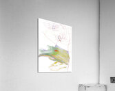 Dreaming in Color  Acrylic Print