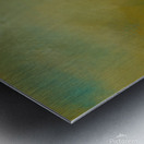 In the Blink of an Eye   Metal print