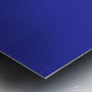 Water Landing Metal print