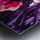 Cactus Group   Metal print