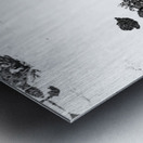 Abstract Fields Metal print