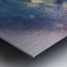 Abalone Shells at China Camp Metal print