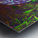 Grasses in layers Metal print