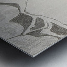 Silverpoint Landscape View 1  Metal print