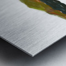 Laguna Marsh View In Motion Impression metal