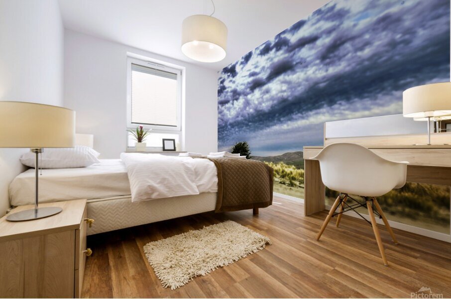 Alone Waiting for Rain Mural print