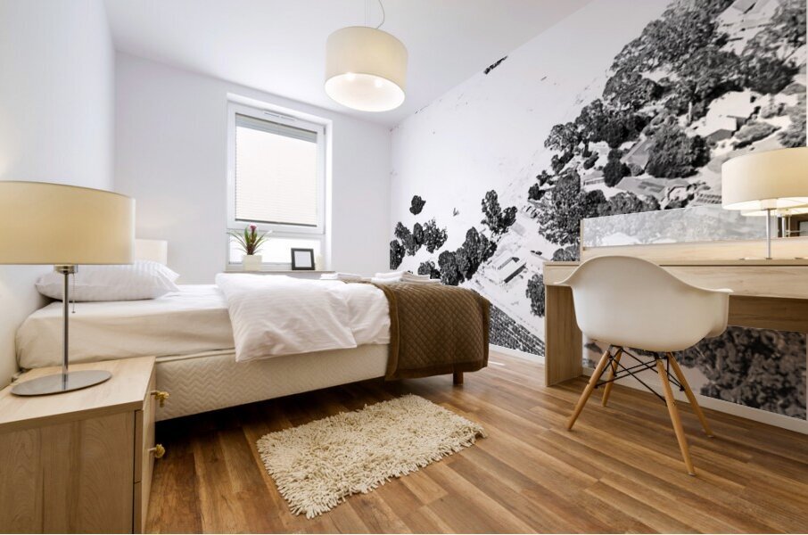 Abstract Fields Mural print