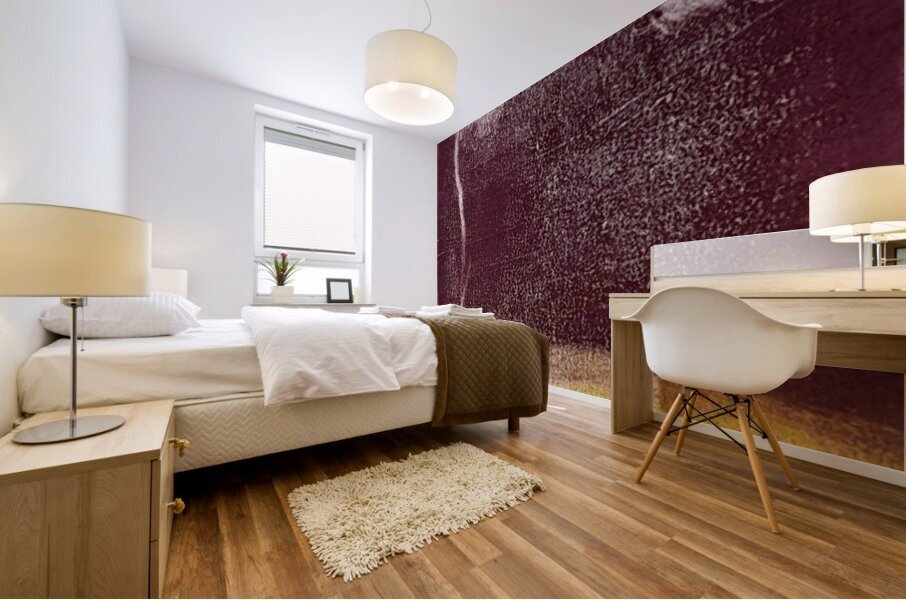 Reflective Sun Mural print