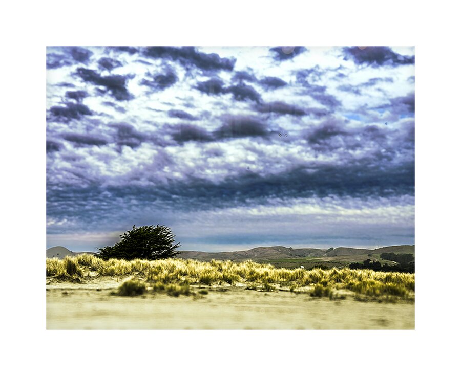 Alone Waiting for Rain Picture Frame print