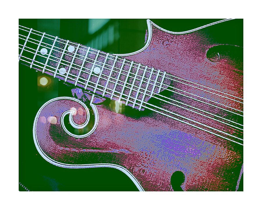 Mandolin  Picture Frame print