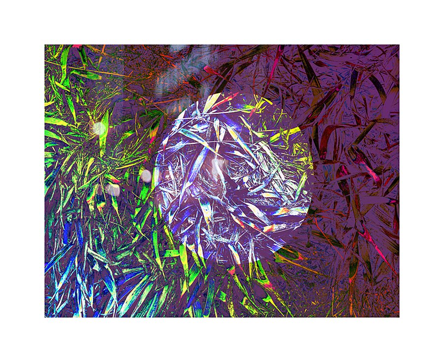 Grasses in layers Picture Frame print