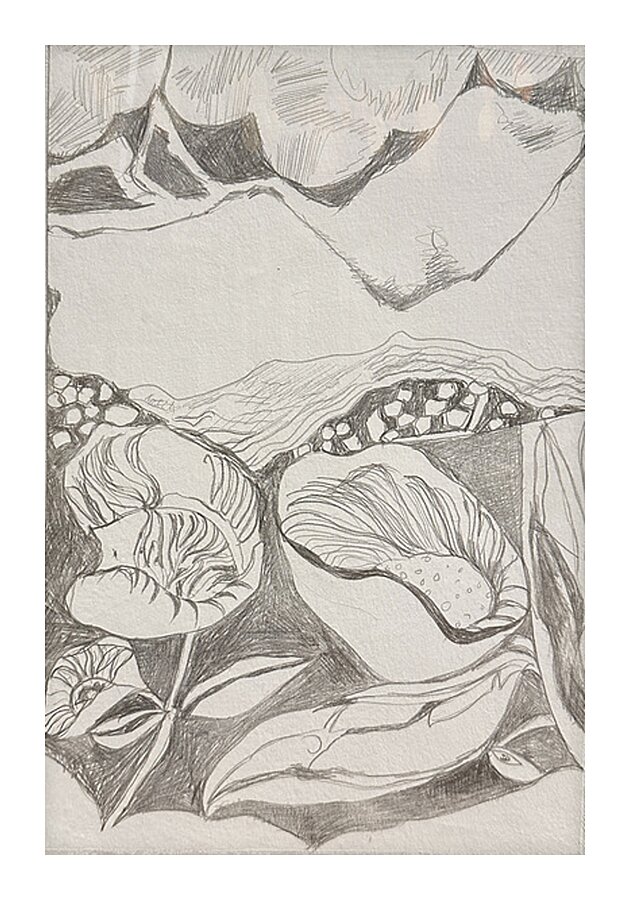 Silverpoint Landscape View 1  Picture Frame print