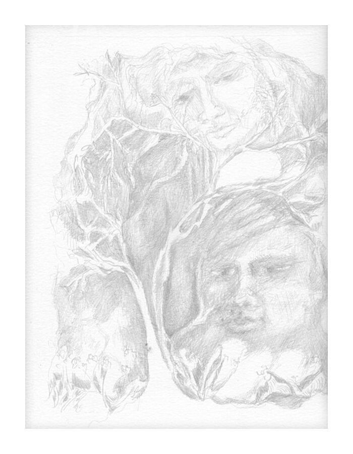 Dreamscapes - Silverpoint - Living in Trees Picture Frame print