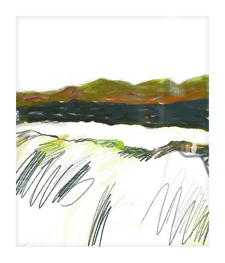 Laguna Marsh View In Motion Impression et Cadre photo