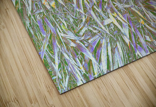 Many Grasses  Barbara Jacobs puzzle