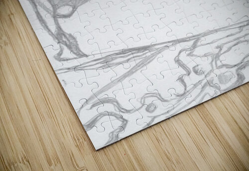 Silverpoint Above and Below Barbara Jacobs puzzle