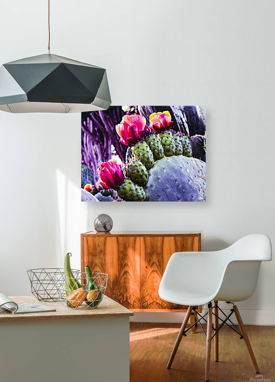 Cactus Group   Reproduction