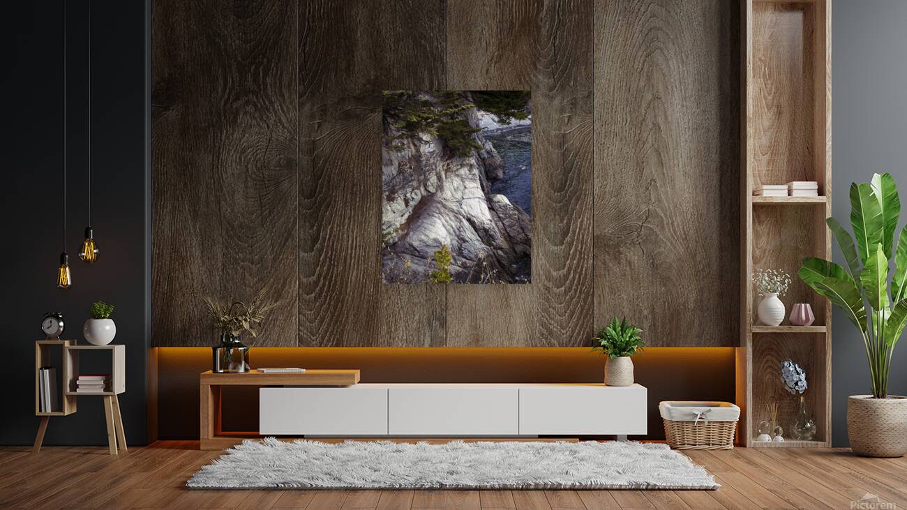 Cliff and Sea  Reproduction