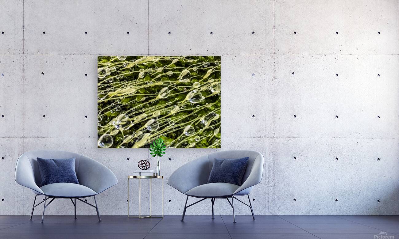 Essence Reproduction