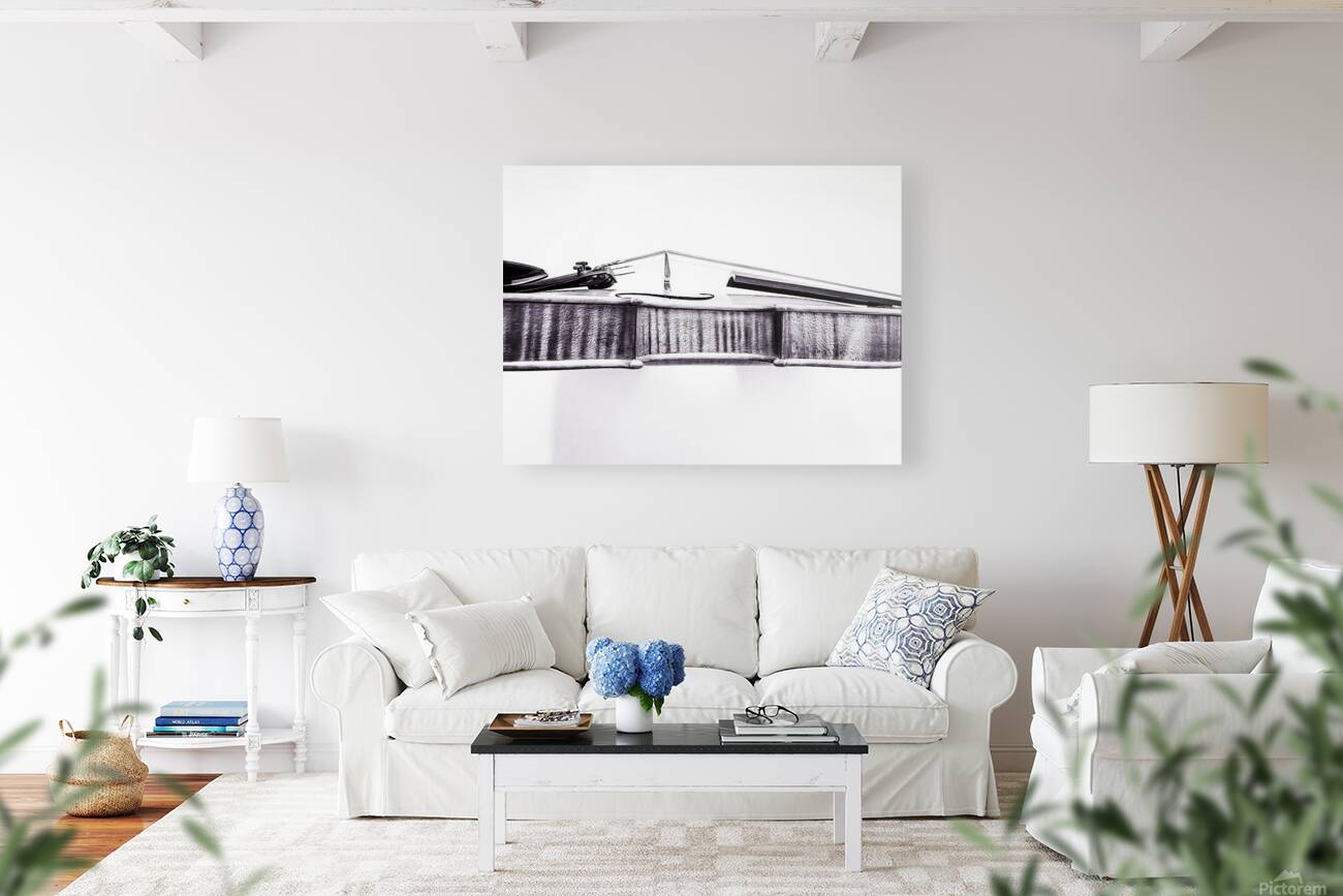 Fiddle in Black and White Reproduction