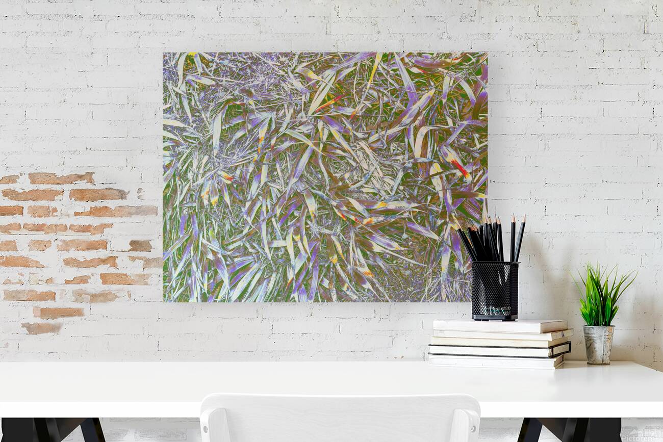 Many Grasses  Reproduction