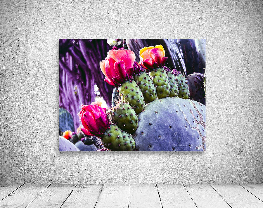 Cactus Group   Wall Preview