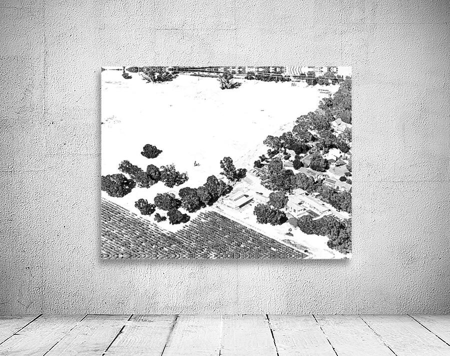 Abstract Fields Wall Preview