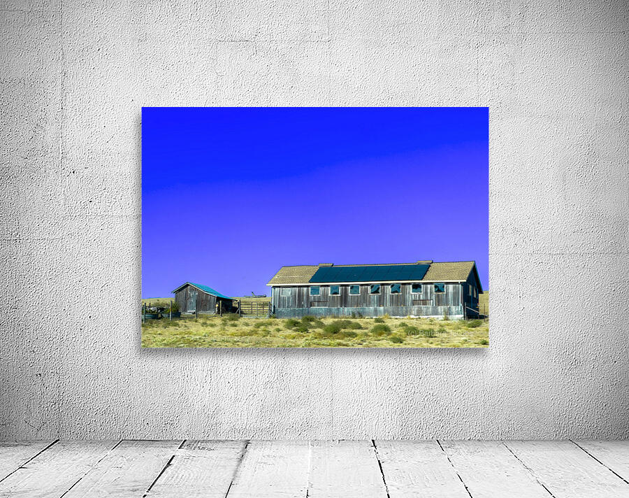 Blue Roof Shed  Wall Preview