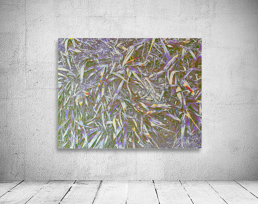 Many Grasses  Wall Preview