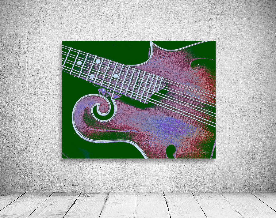 Mandolin  Wall Preview