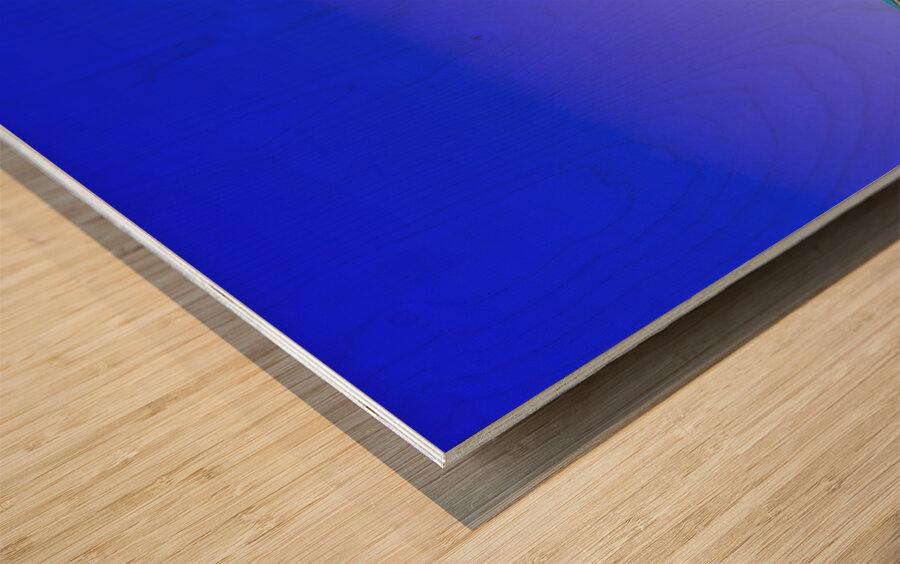 Blue Roof Shed  Wood print