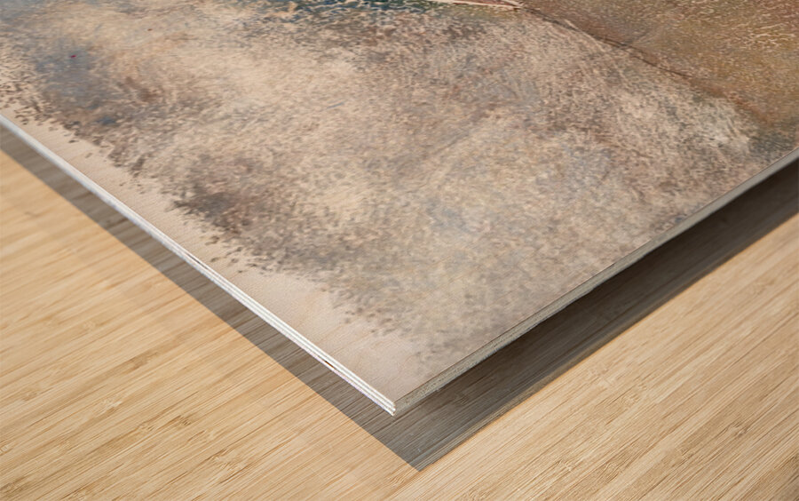 House in Fog Wood print