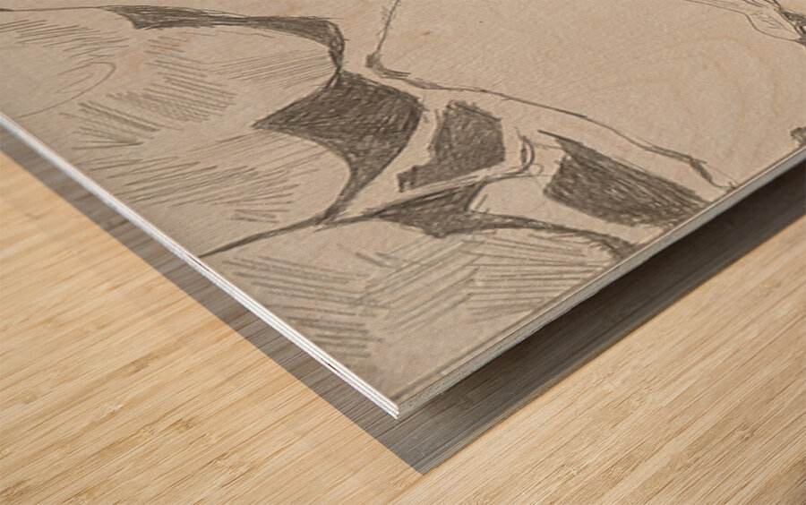 Silverpoint Landscape View 1  Wood print