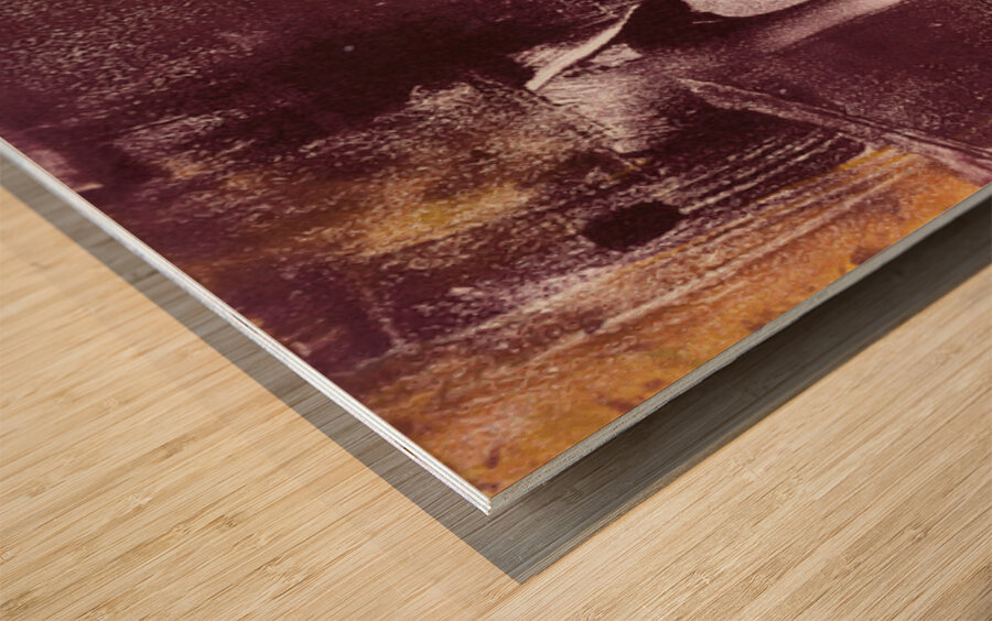 Active Reflections Wood print