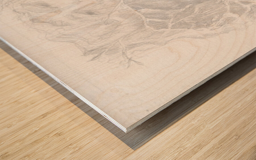 Dreamscapes - Silverpoint - Living in Trees Wood print