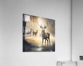 a deer. An expression of the freedom of animals and the beauty of nature. Acrylic Print