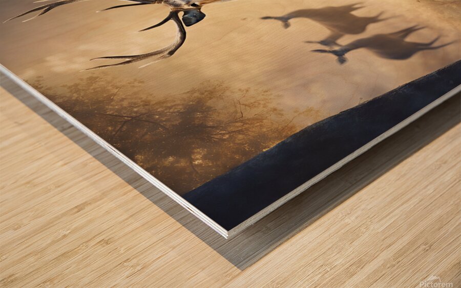 a deer. An expression of the freedom of animals and the beauty of nature. Wood print